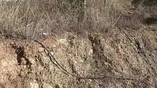 زوجة المزارع التركية تمنح ربيبها خيال مص قضيب خارجي مشعر